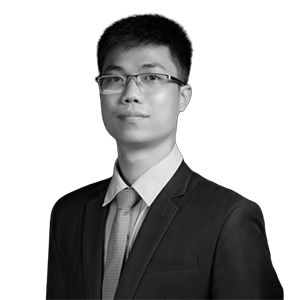 mr long dinh
